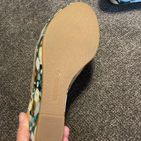 Spring Step Platform Slides - Picture 3 of 4